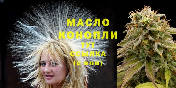 хмурый Кодинск