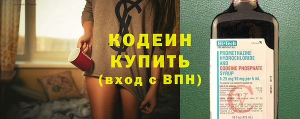хмурый Кодинск
