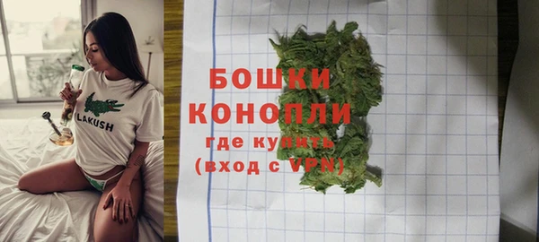 хмурый Кодинск