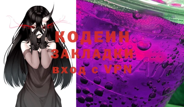 хмурый Кодинск
