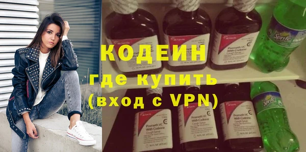 хмурый Кодинск